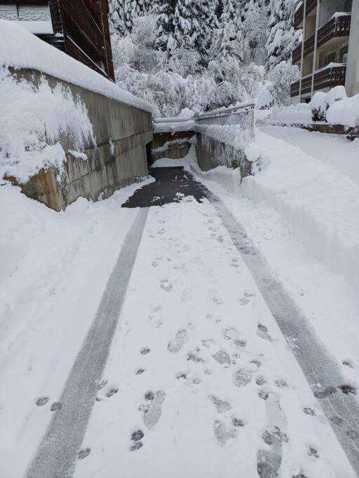 Comfortable apartment near the ski station with parking