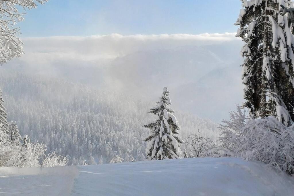 Comfortable apartment near the ski station with parking