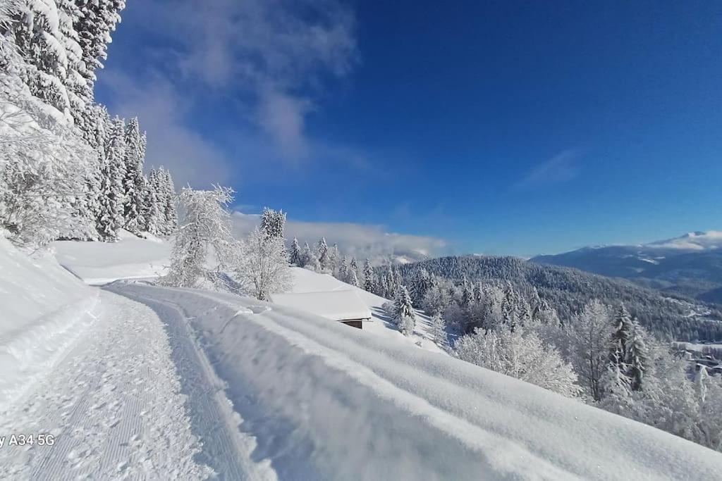 Comfortable apartment near the ski station with parking