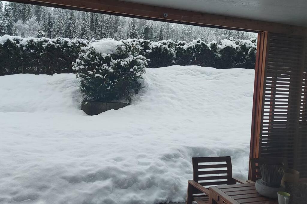 Comfortable apartment near the ski station with parking