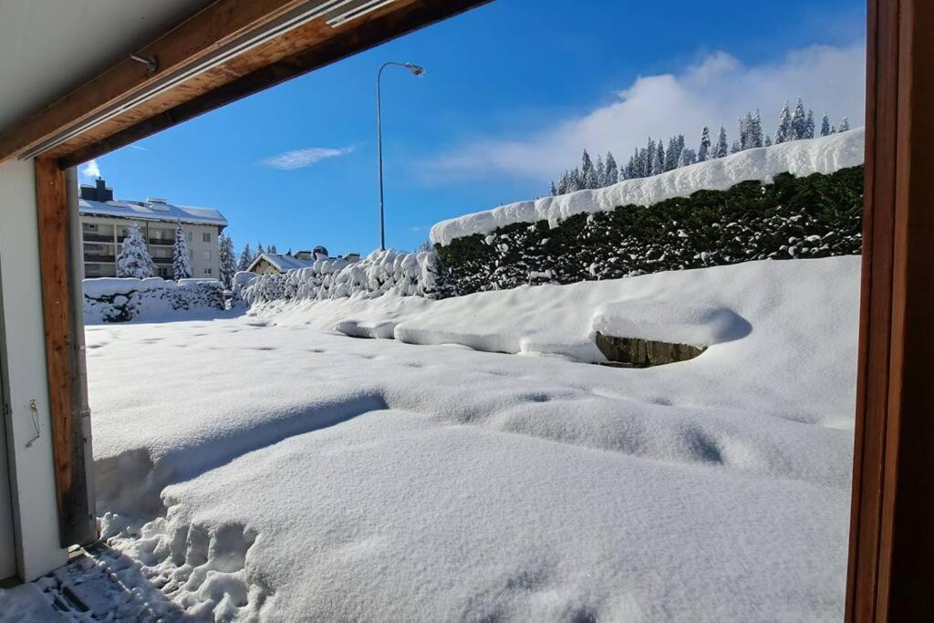 Comfortable apartment near the ski station with parking