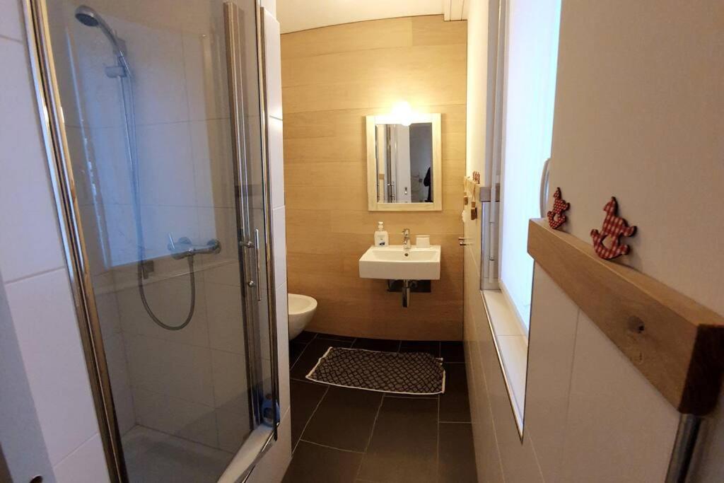 Comfortable apartment near the ski station with parking