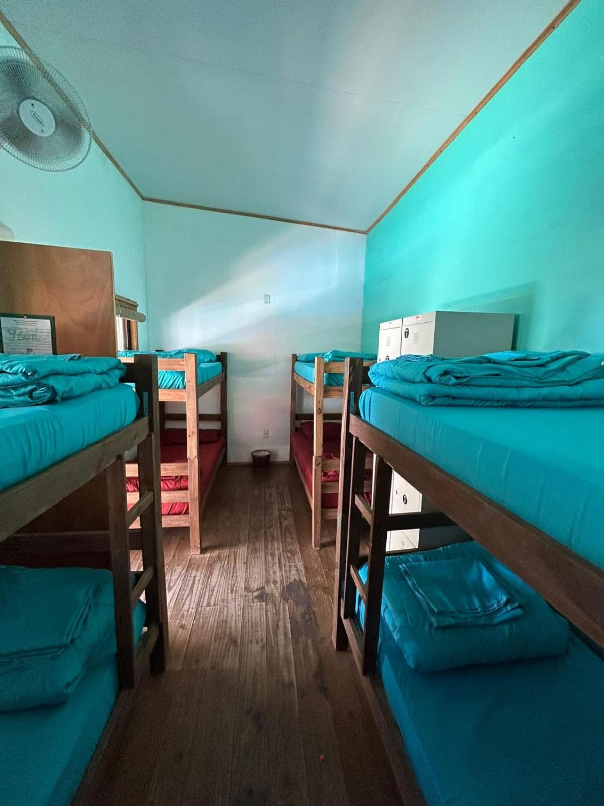 Point Hostel