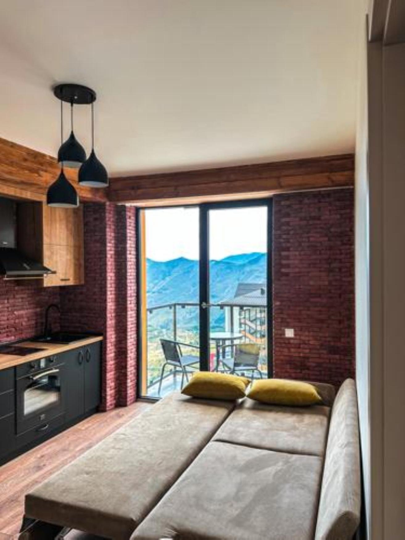 Evdo Apartments F4 Stylish Room view 2