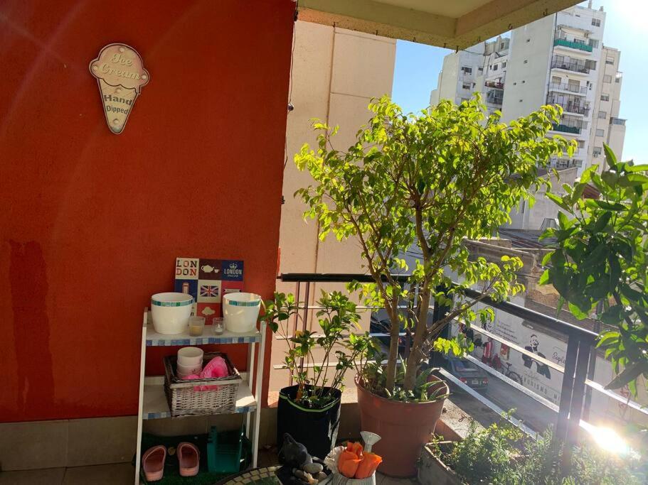 Bello piso entero de 85 mts