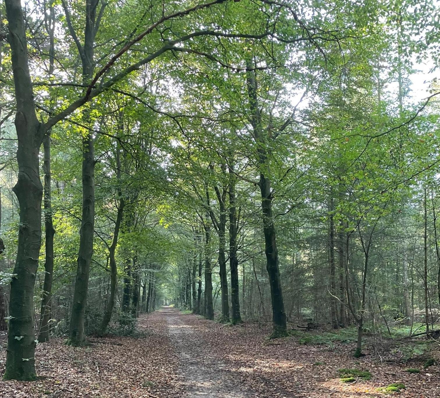 Erve Zonnehoeve B&B en Wijngaard