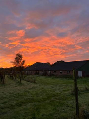 Erve Zonnehoeve B&B en Wijngaard