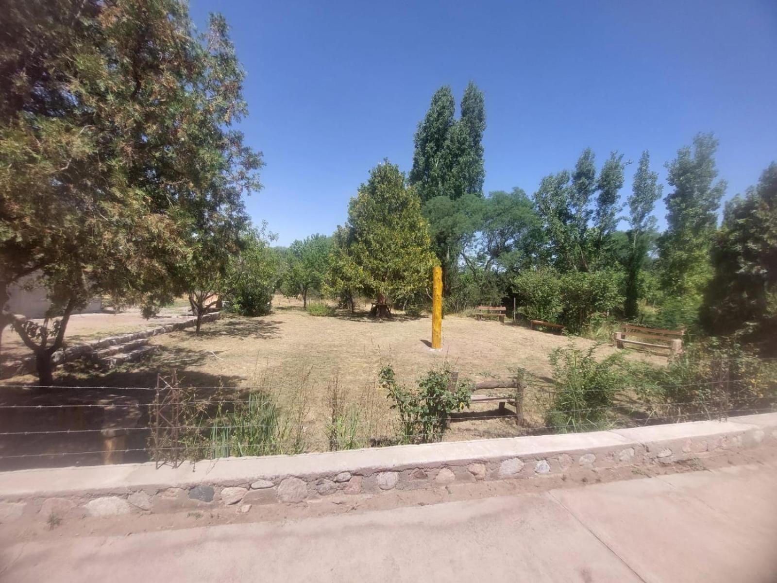 Alma y Pueblo