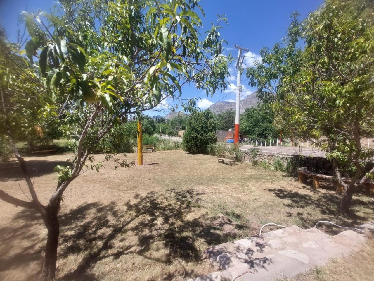 Alma y Pueblo