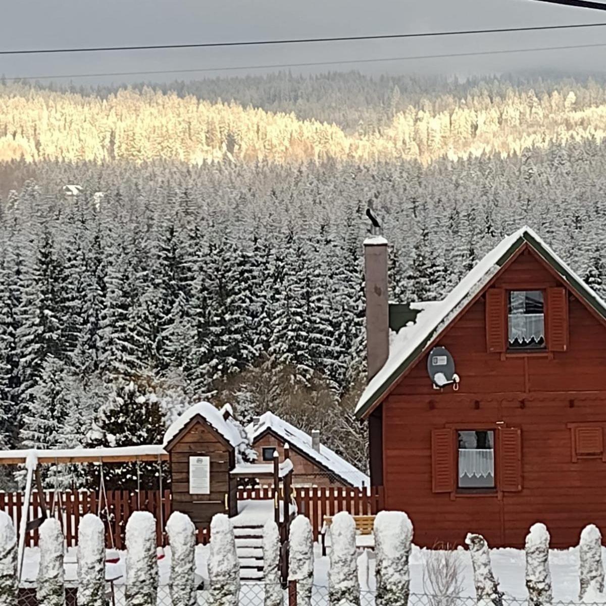 Domki Krótki Szpic view 4
