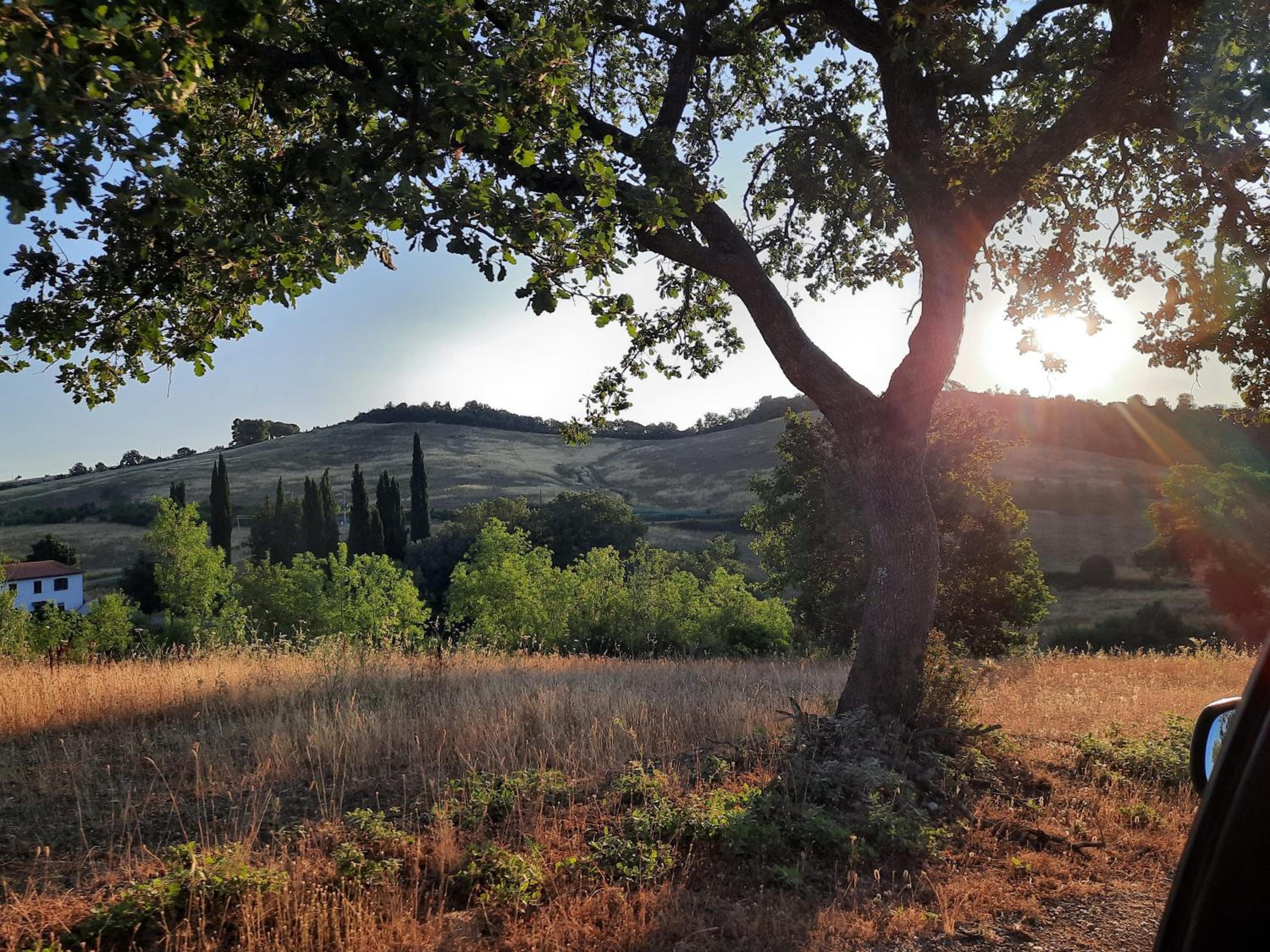 Podere Scopicci