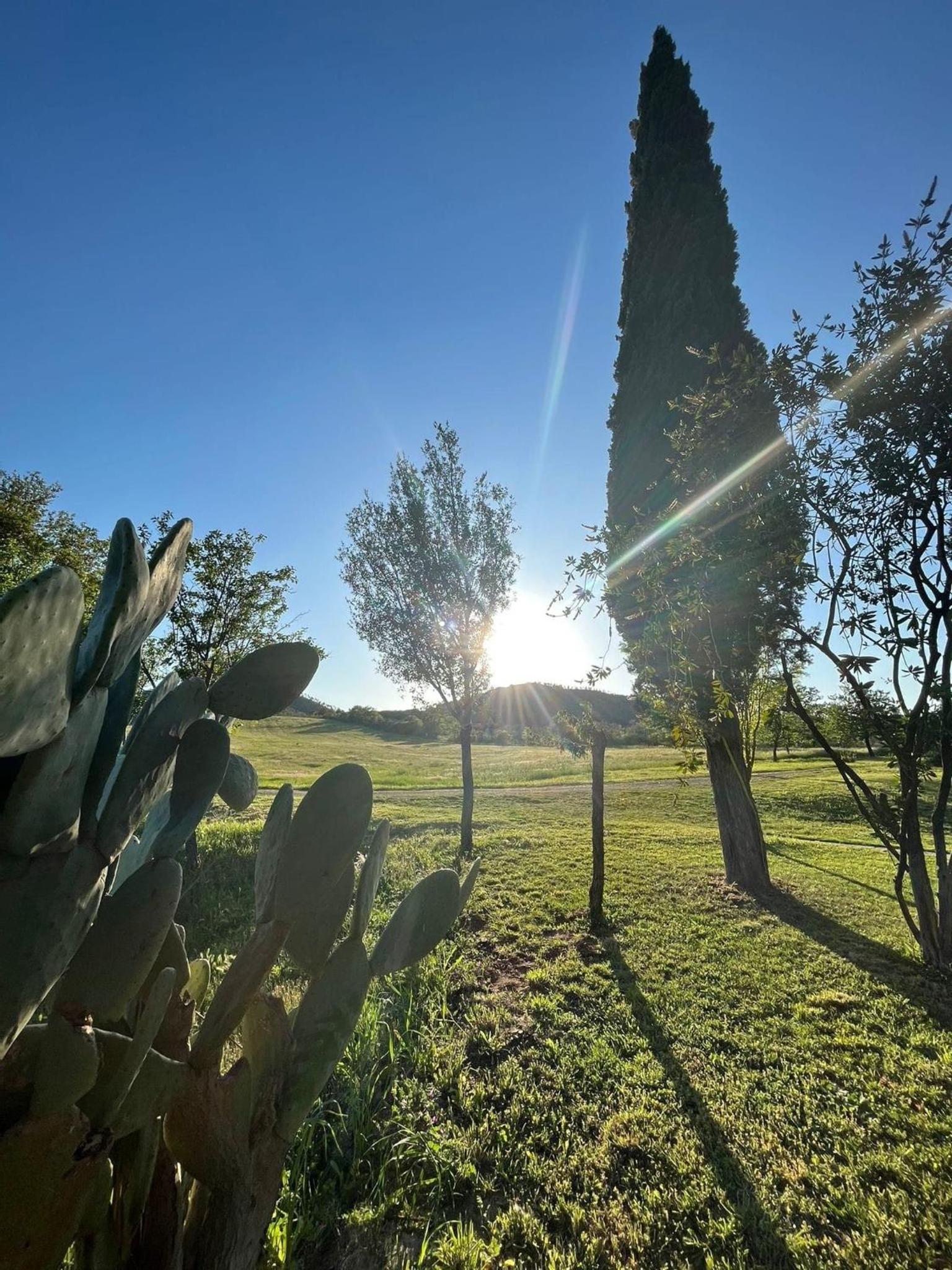 Podere Scopicci