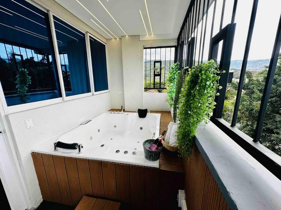 noah apartasuite 601