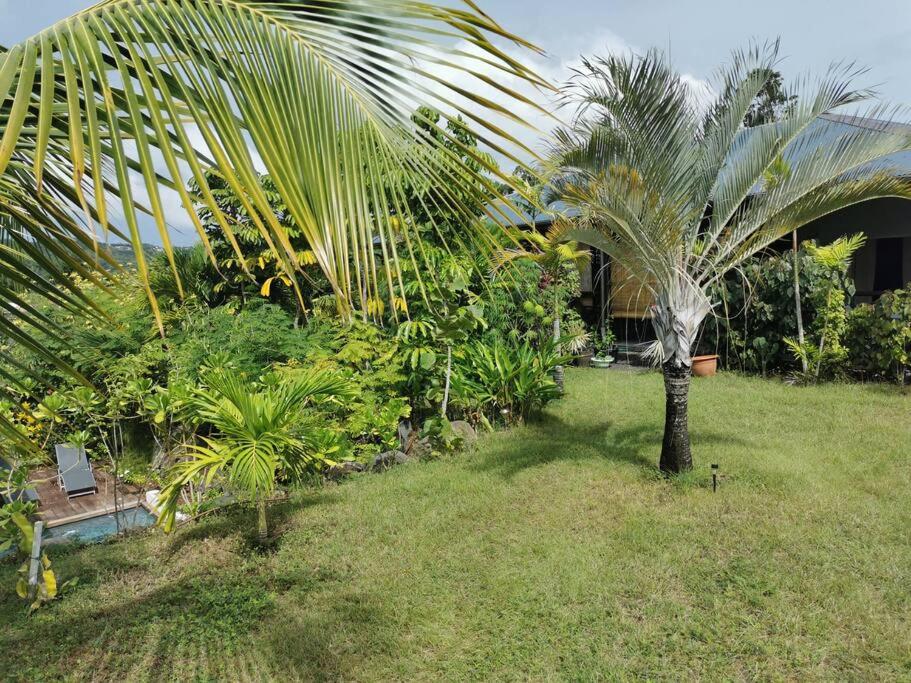 Lodge Pitaya 14 pers 3 piscines 3 logements Au Diamant view 5
