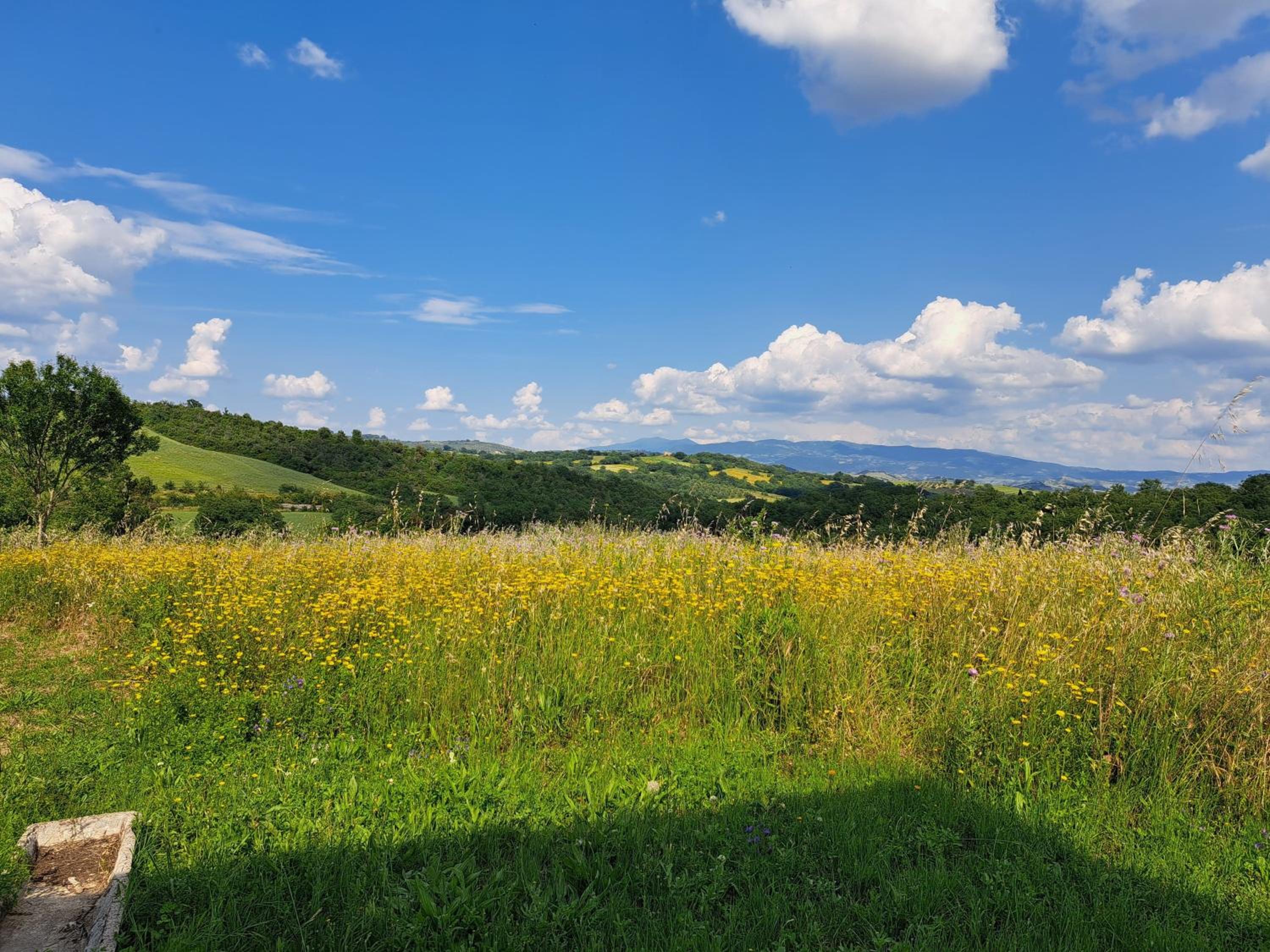 Podere Scopicci