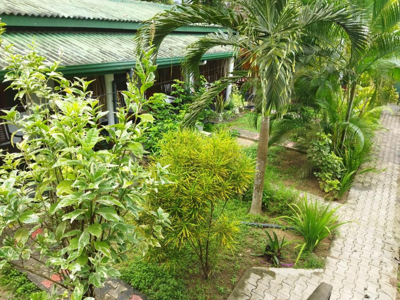 Photo 14