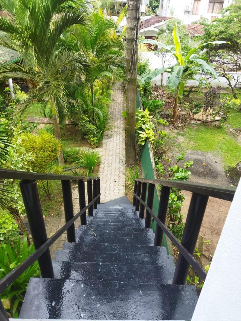 Photo 12