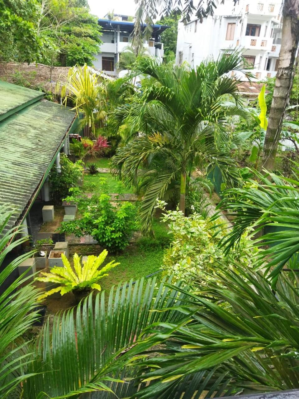 Photo 13
