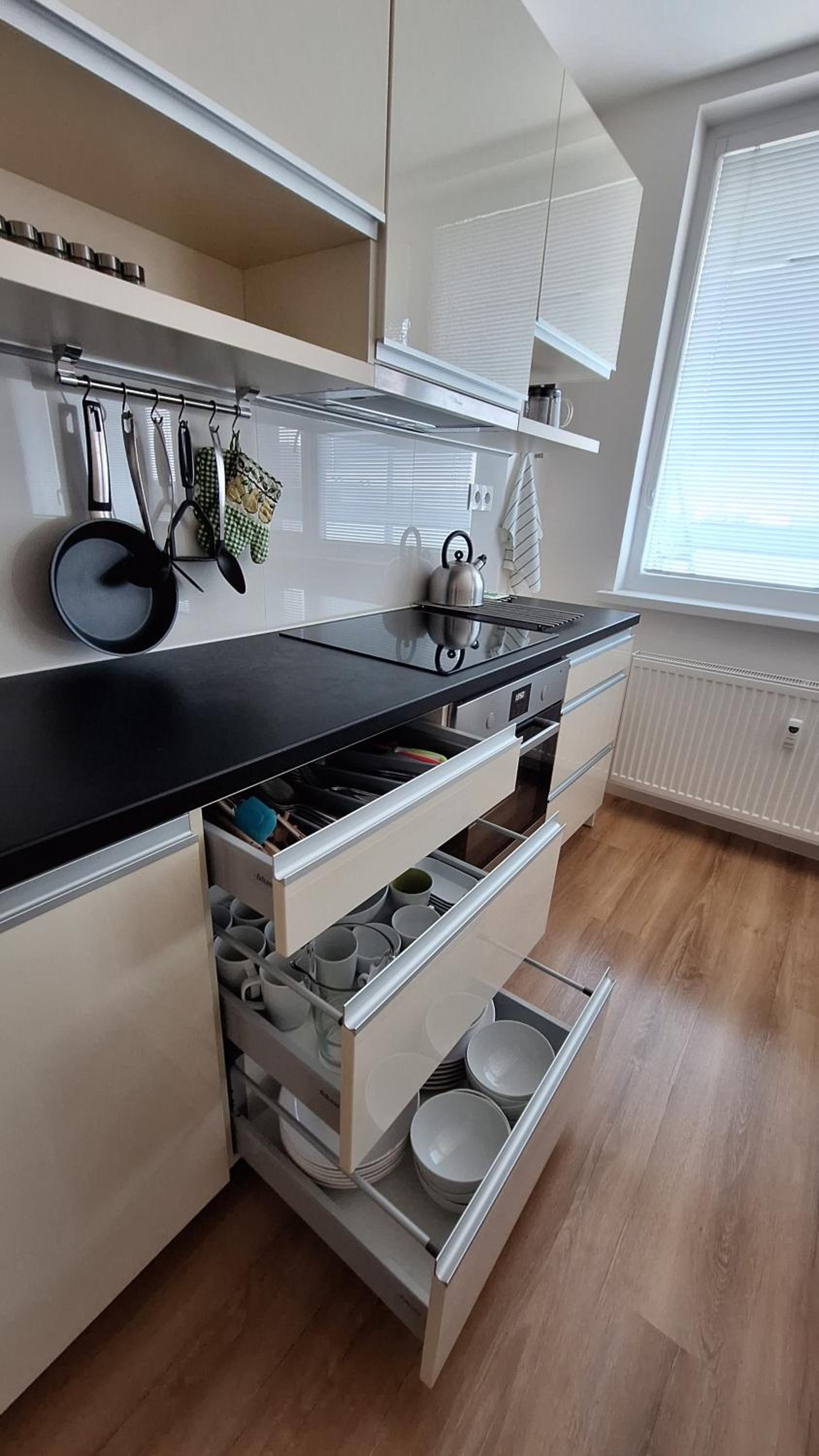 Spacious apartment in the park view 2
