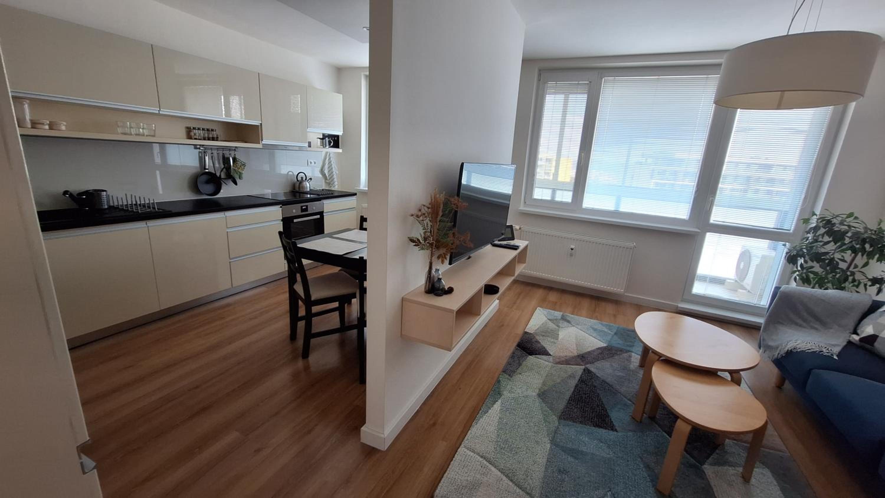 Spacious apartment in the park view 3