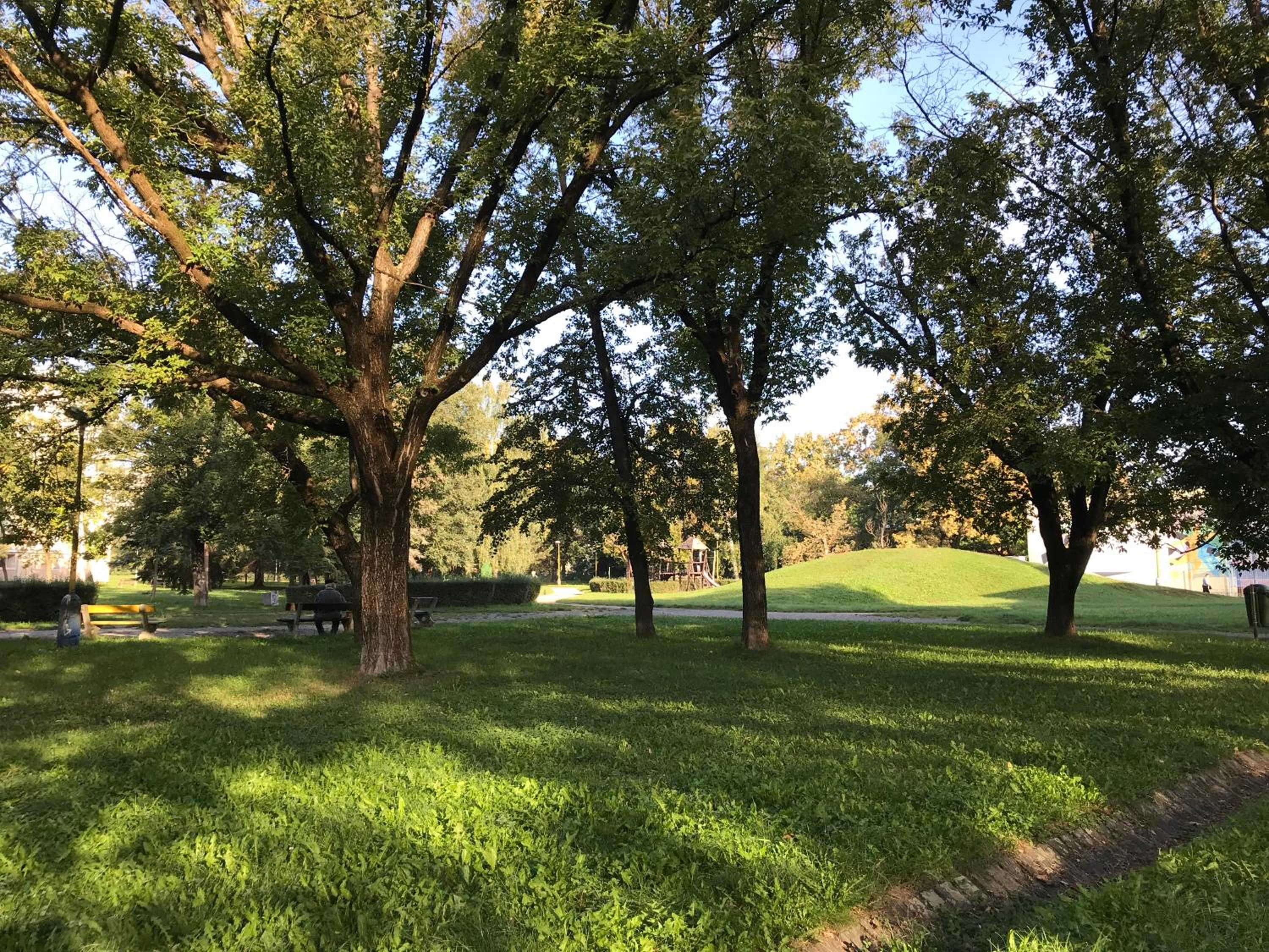 Photo 16