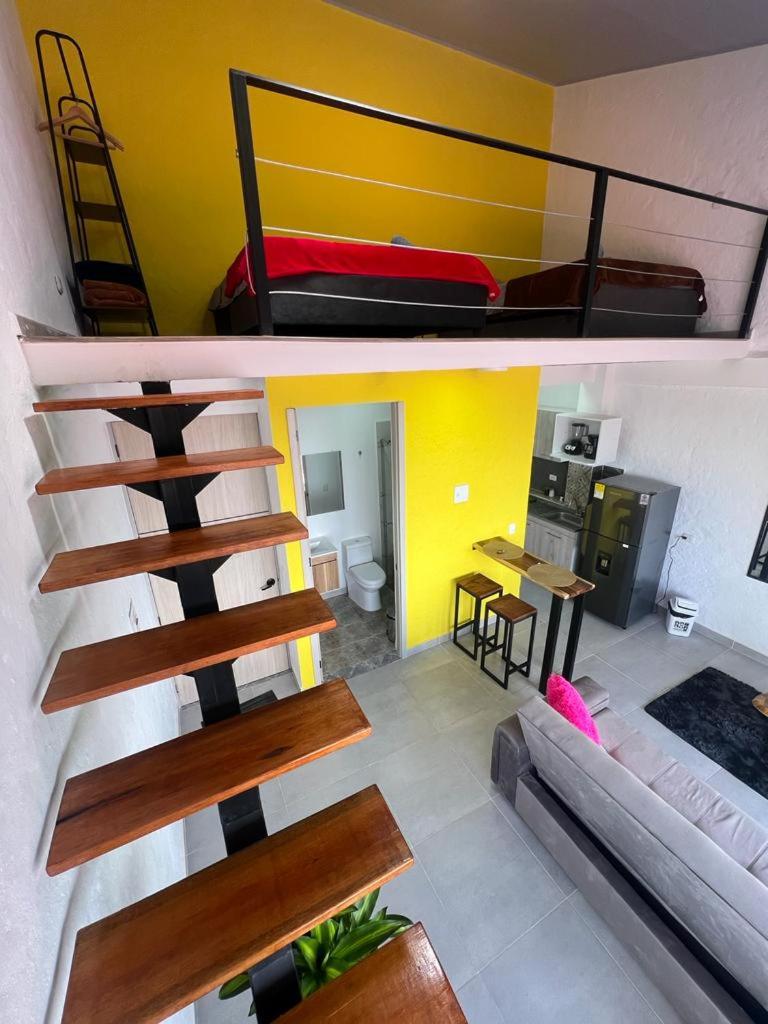 apartaestudios las astromelias salento