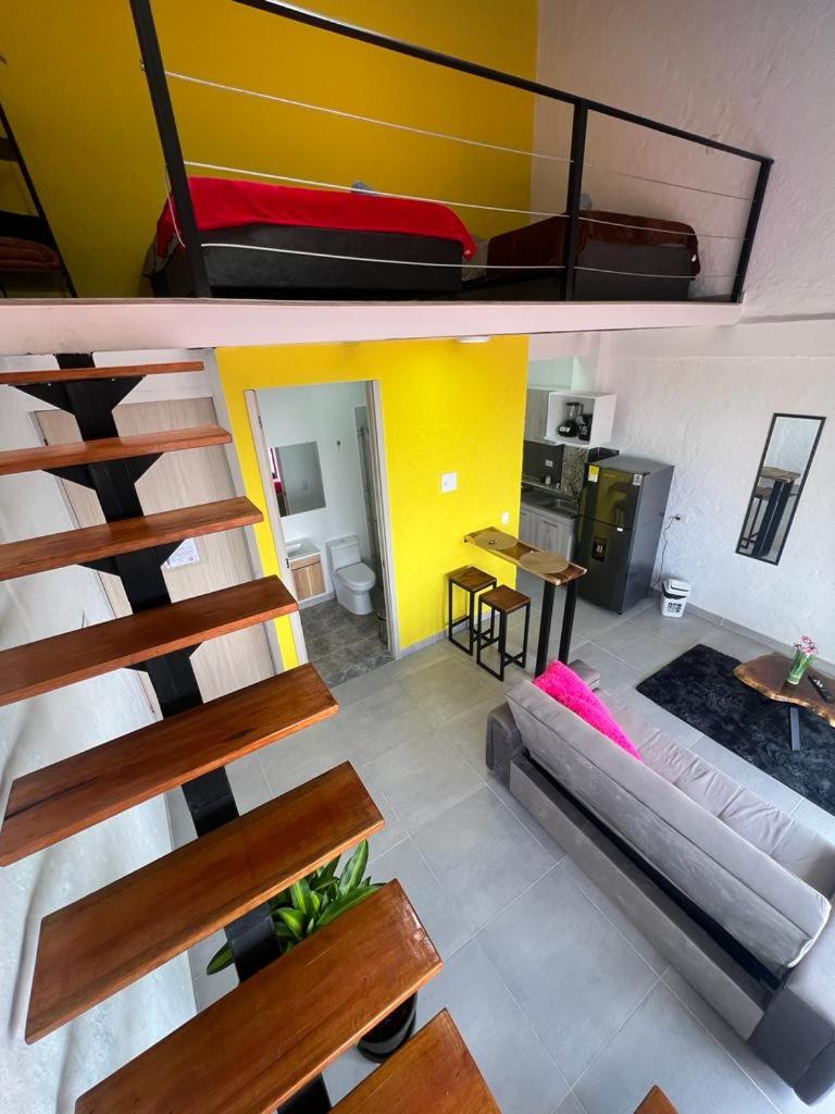 apartaestudios las astromelias salento
