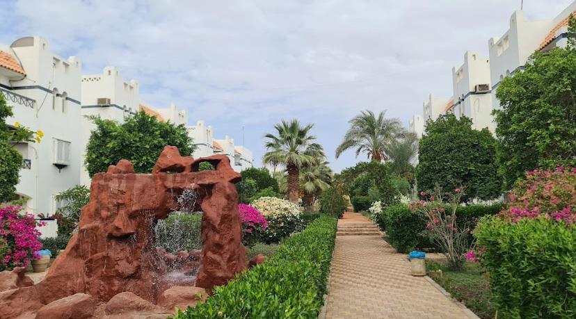 Petra House Apartment