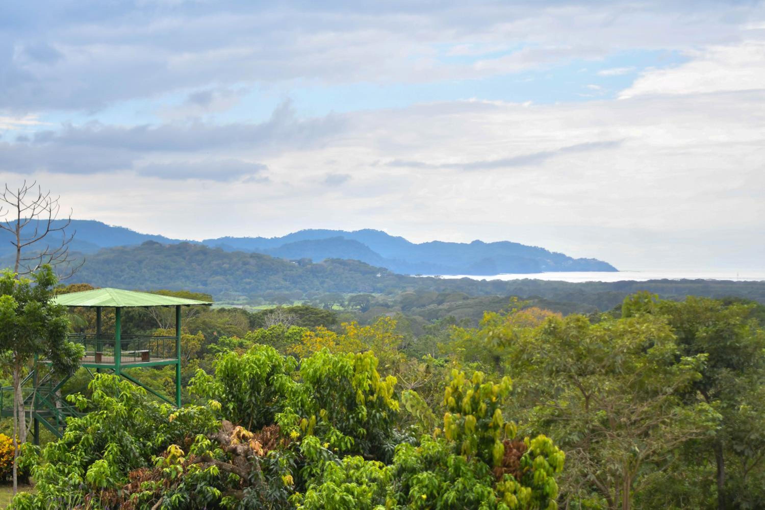 Tarcoles Birding Lodge