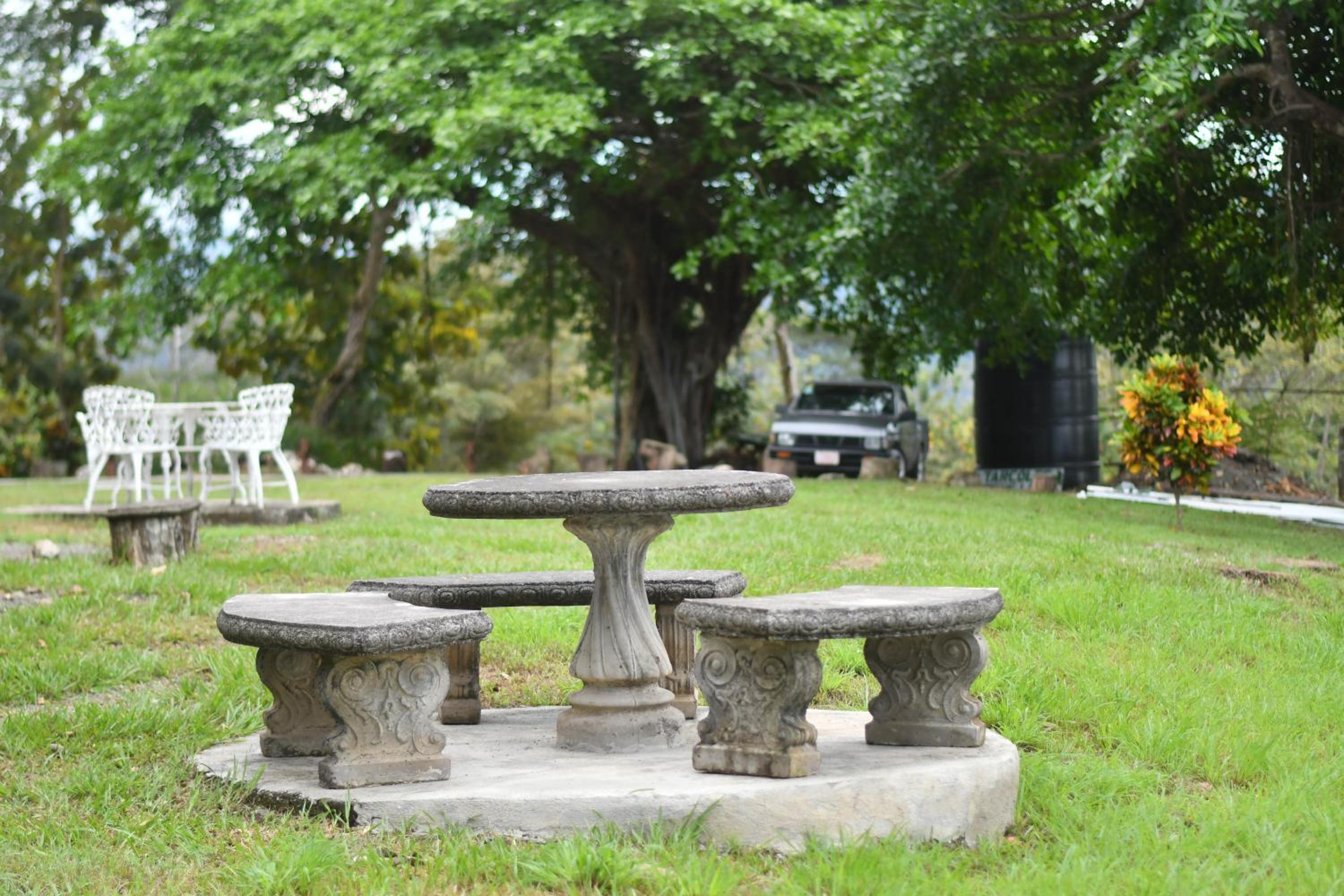 Tarcoles Birding Lodge