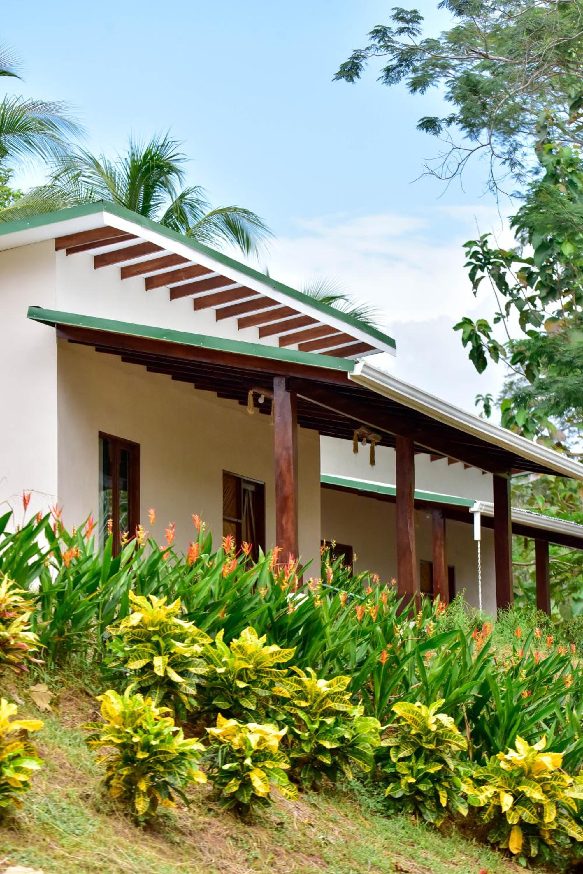 Tarcoles Birding Lodge