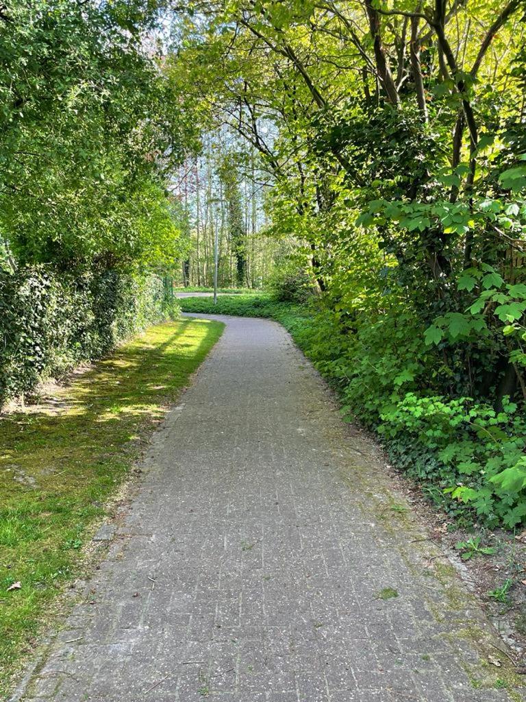 Ferienwohnung Fehn