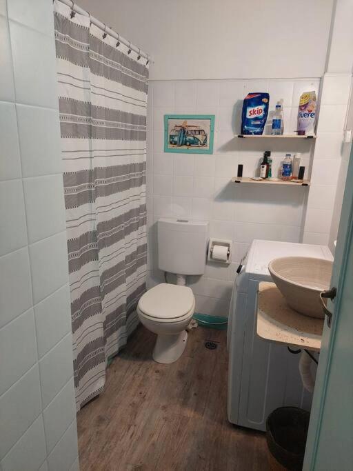 Comfortable Apartment in Colegiales