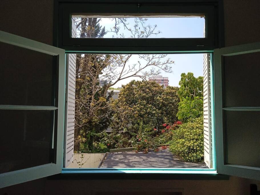 Comfortable Apartment in Colegiales
