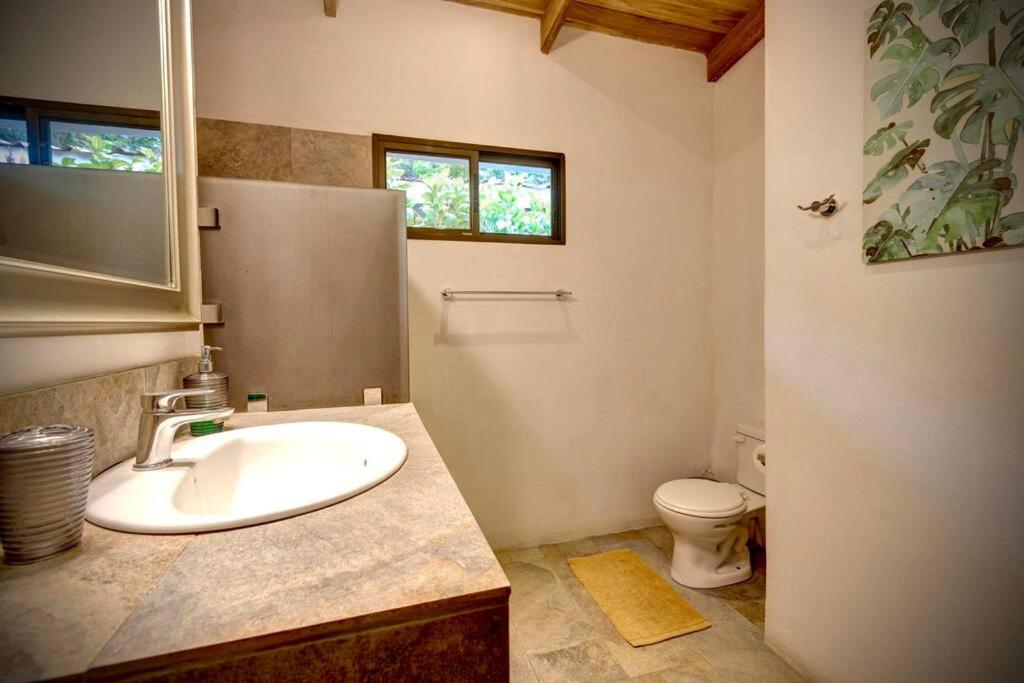 Villa Pegaso en Anima Mundi