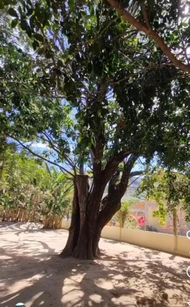 Chalé da Serra