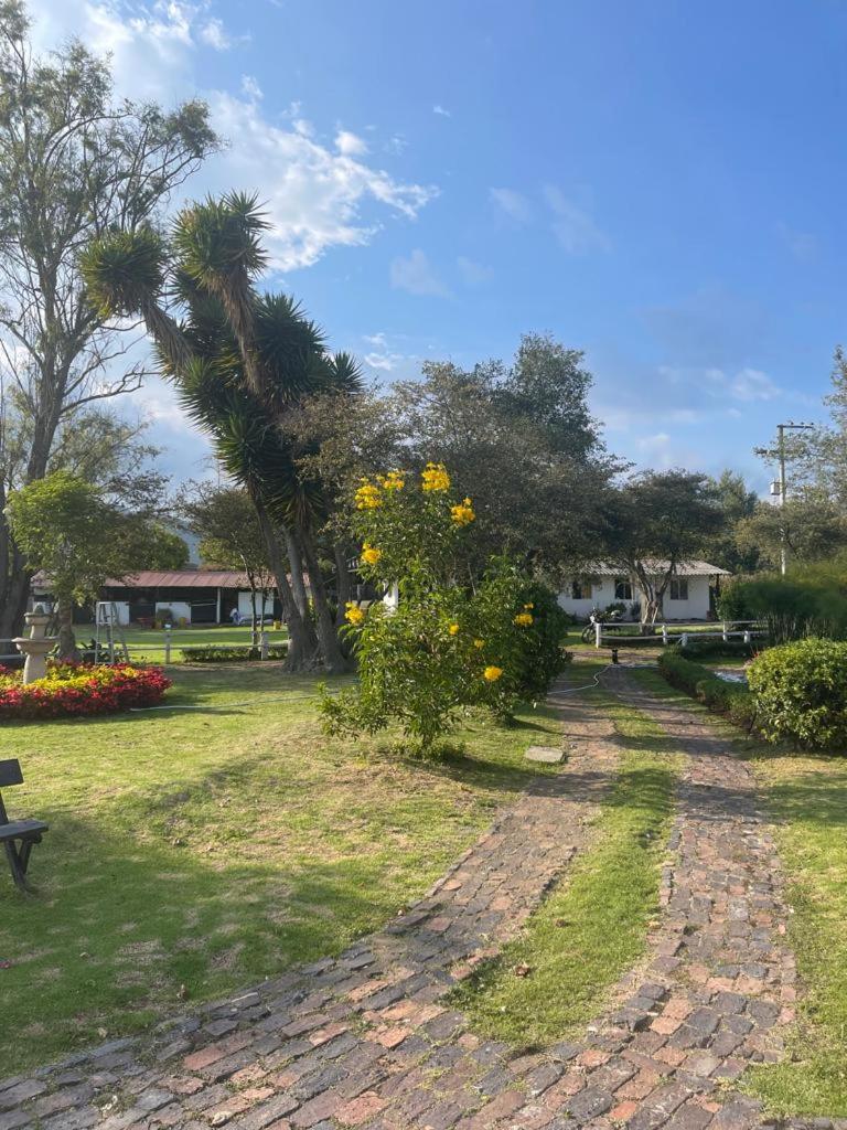 Luxury Finca el Ensueño, casa entera, con Sauna, Jacuzzi, BBQ y Caballos