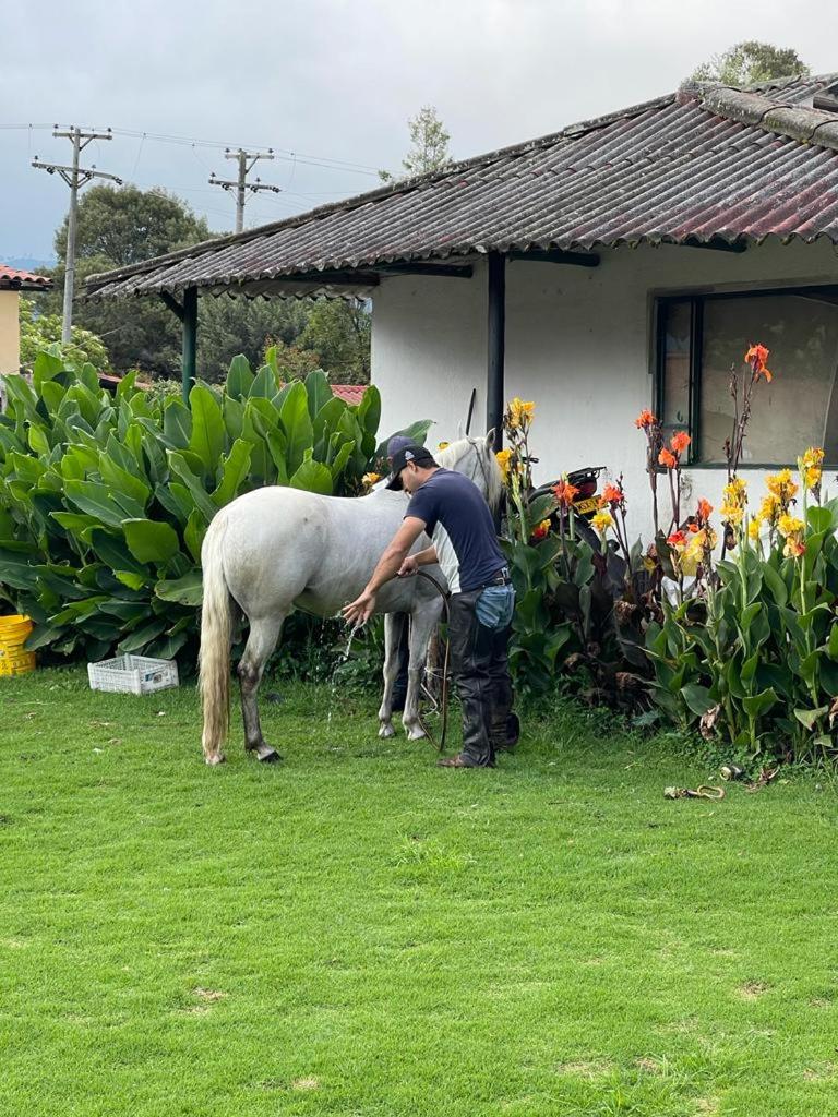 Luxury Finca el Ensueño, casa entera, con Sauna, Jacuzzi, BBQ y Caballos