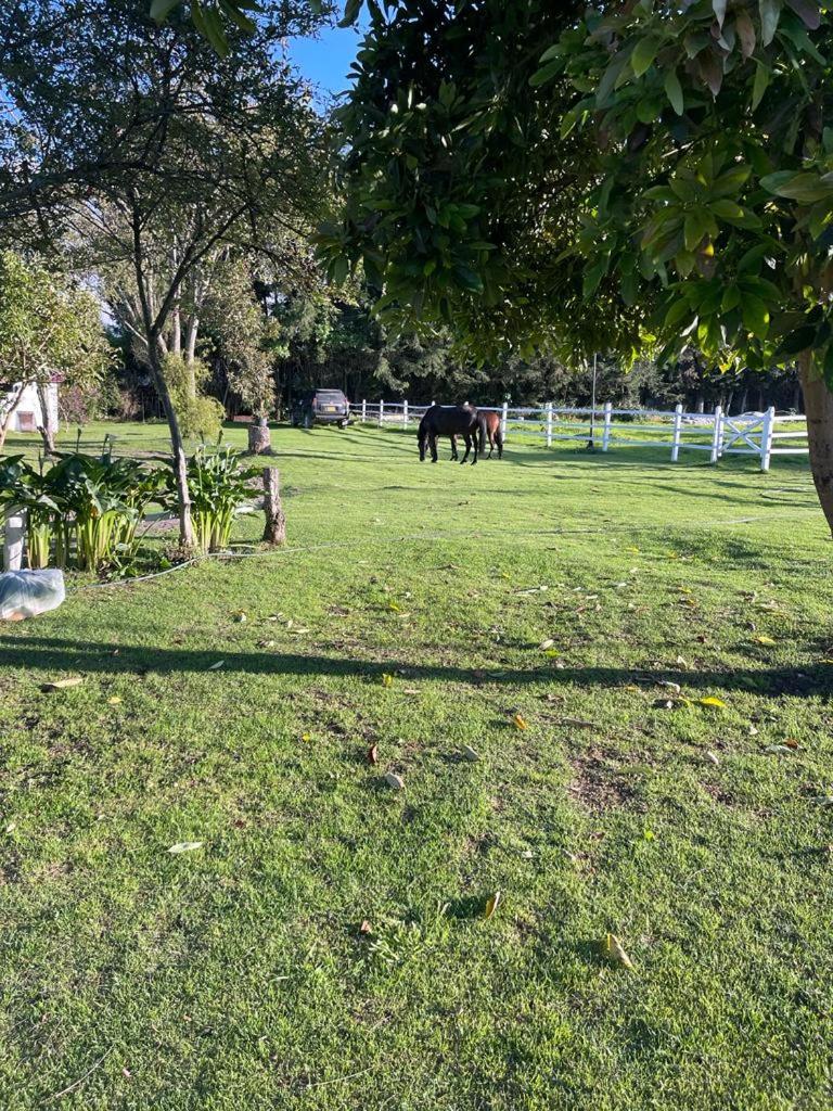 Luxury Finca el Ensueño, casa entera, con Sauna, Jacuzzi, BBQ y Caballos