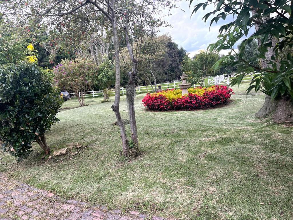 Luxury Finca el Ensueño, casa entera, con Sauna, Jacuzzi, BBQ y Caballos