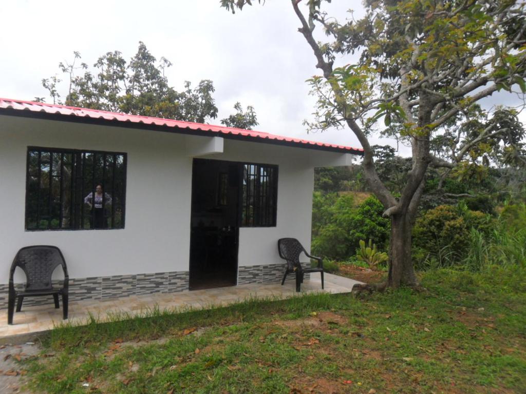 Tranquilidad en el campo Rega