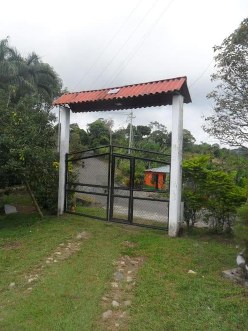 Tranquilidad en el campo Rega