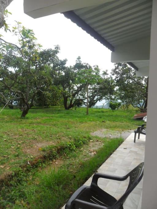 Tranquilidad en el campo Rega