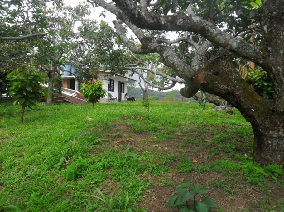 Tranquilidad en el campo Rega