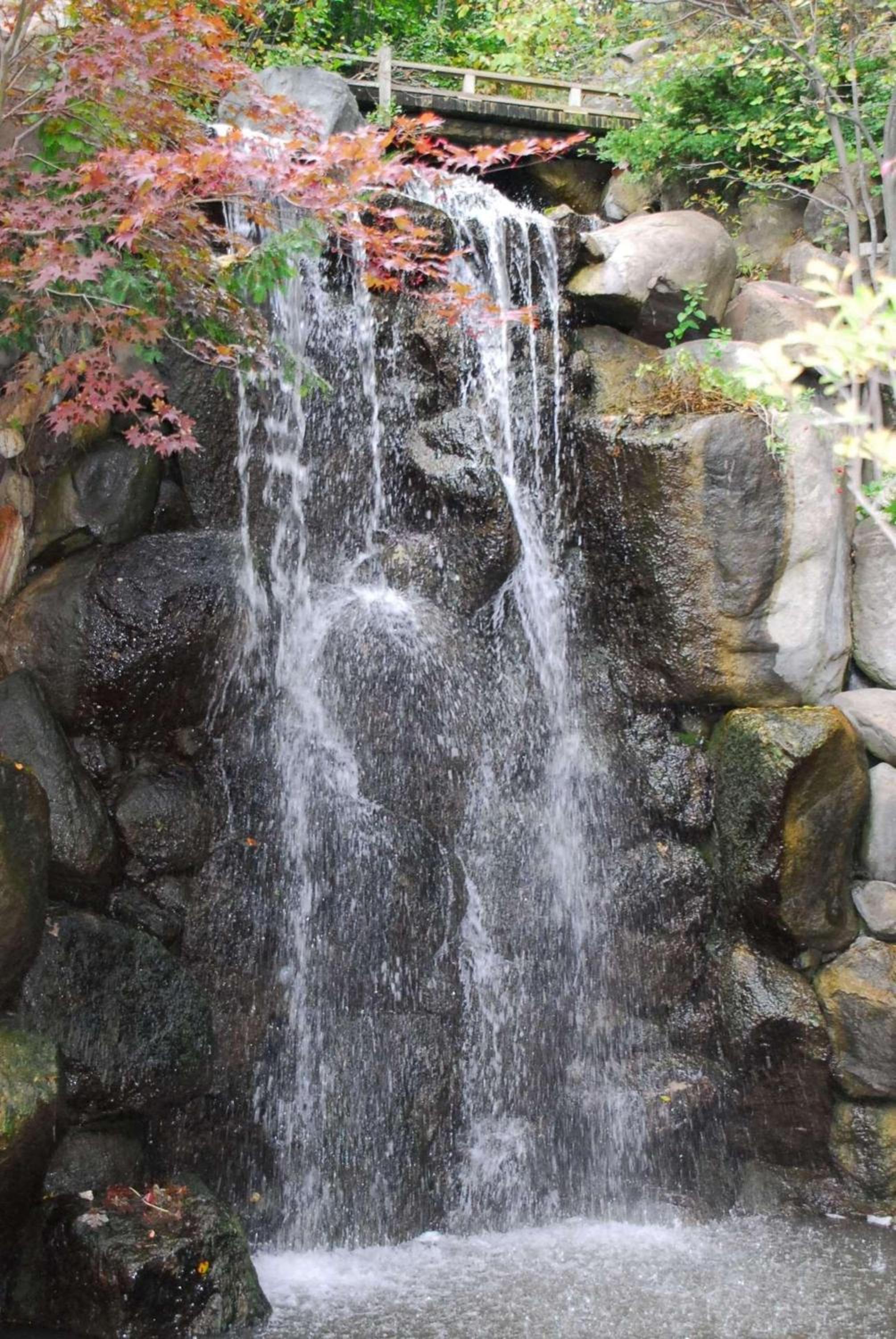 Photo 43