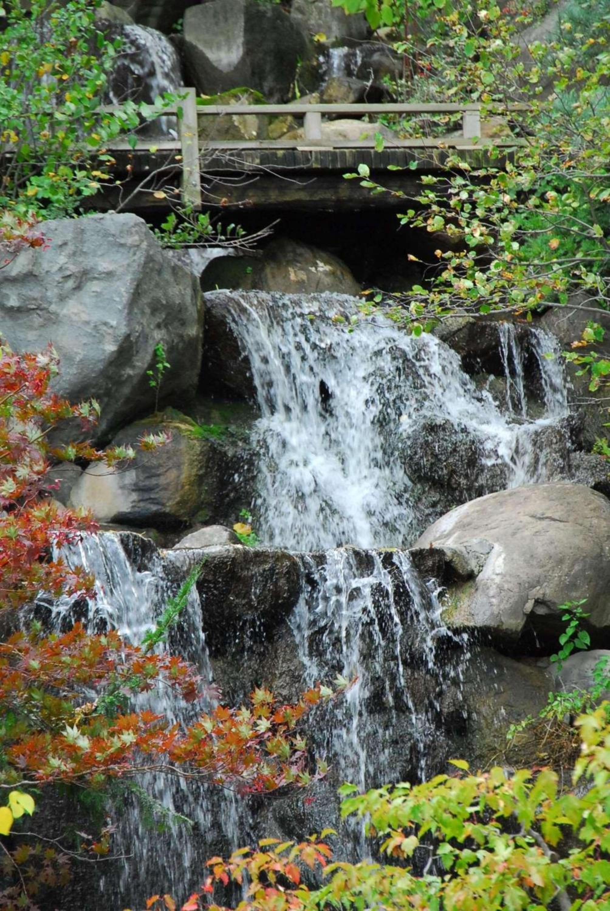 Photo 44