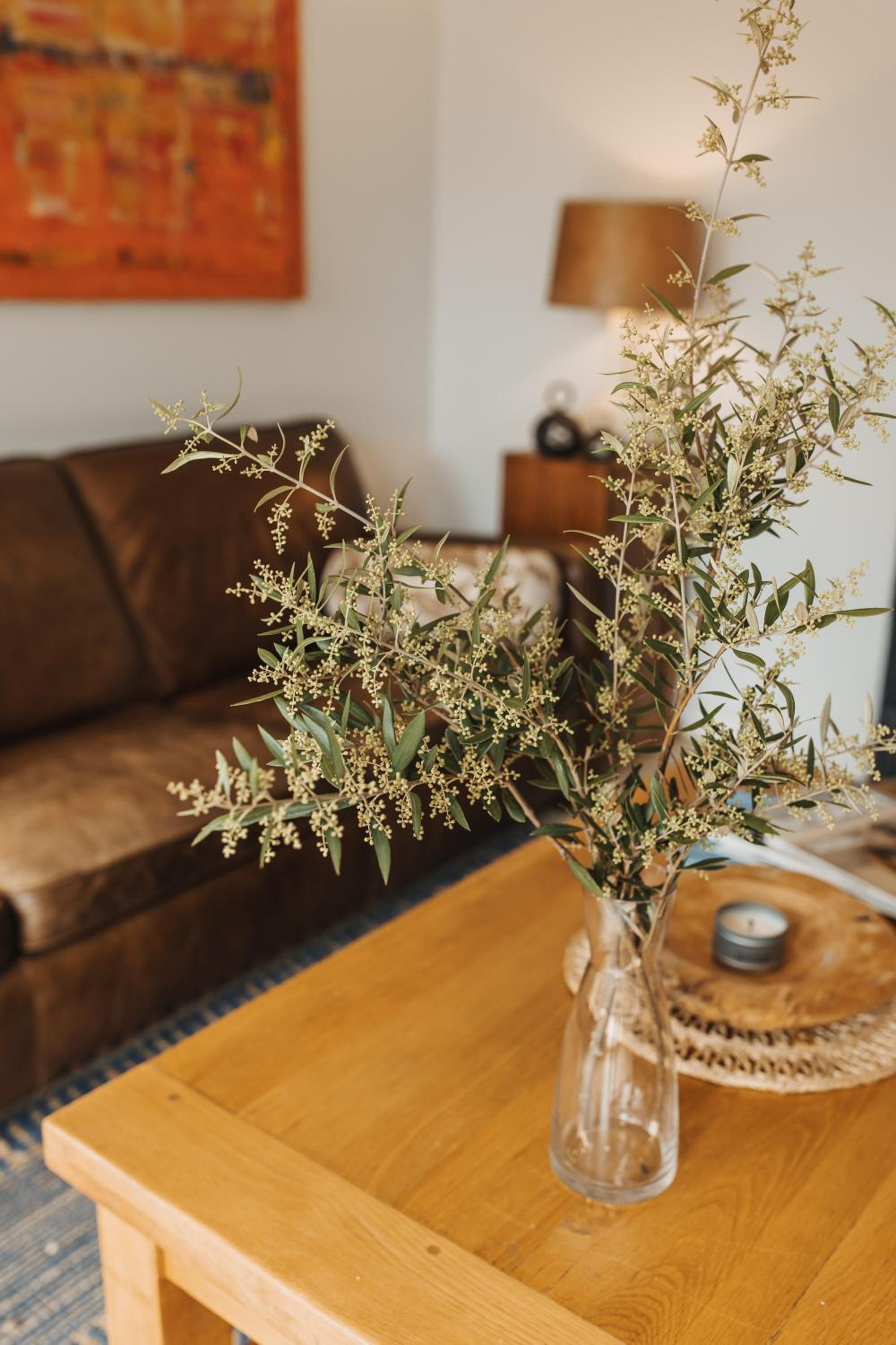 The Olive Farm