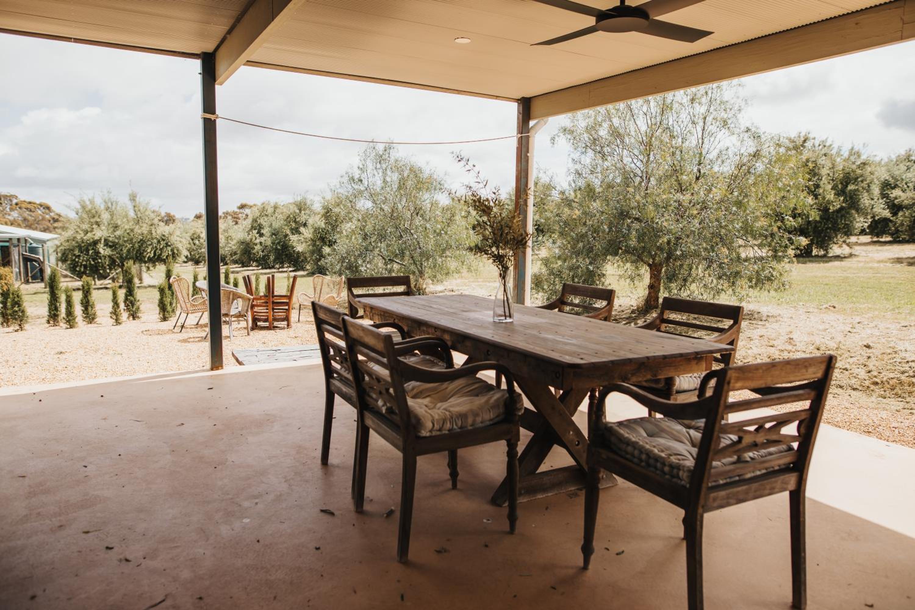 The Olive Farm