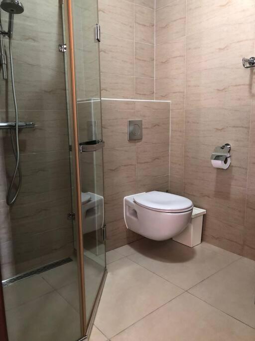 1 Room Apartment-Green View 8