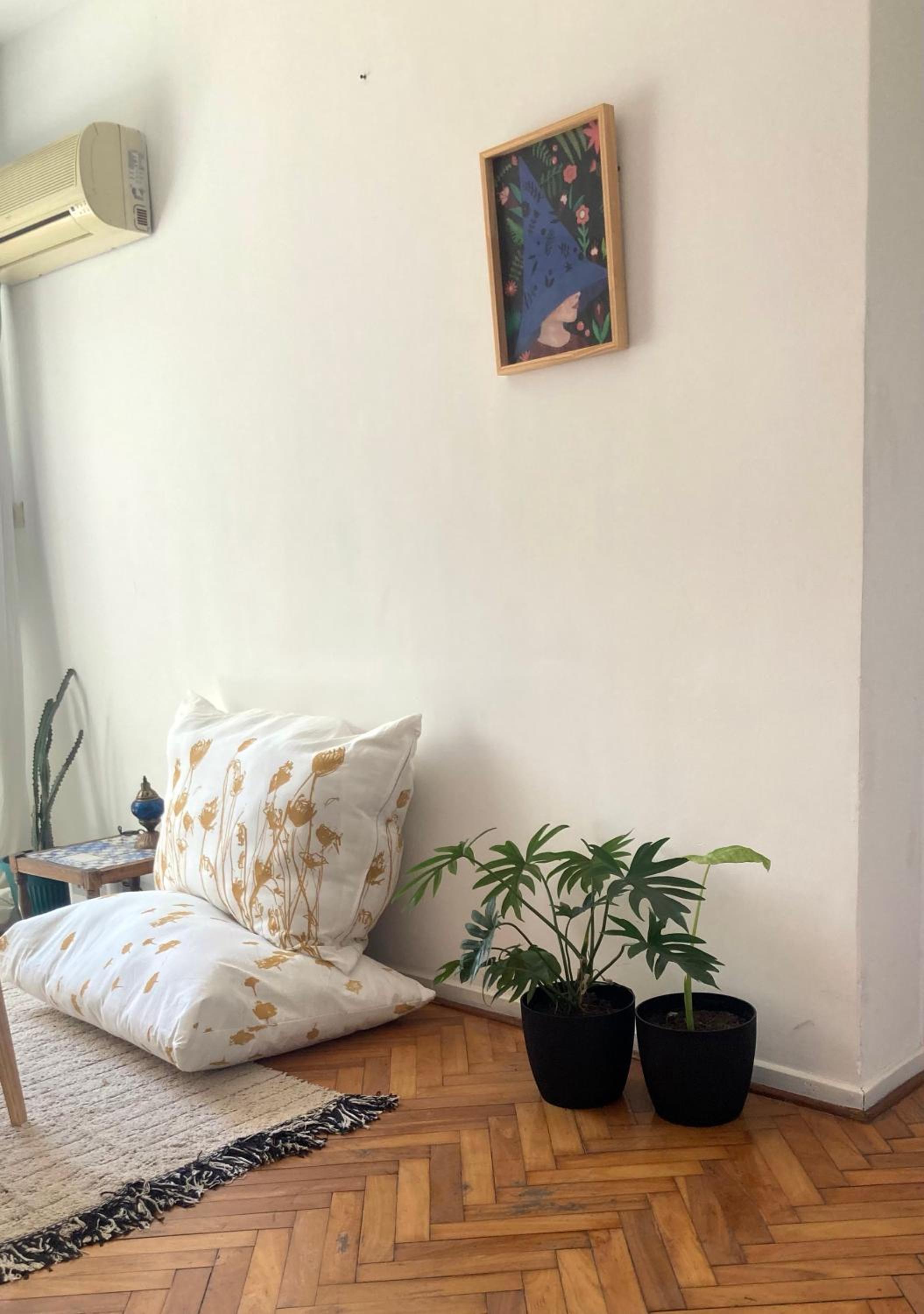 Departamento entero en Saavedra